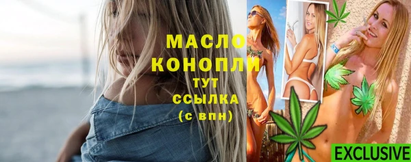 соль ск Кукмор