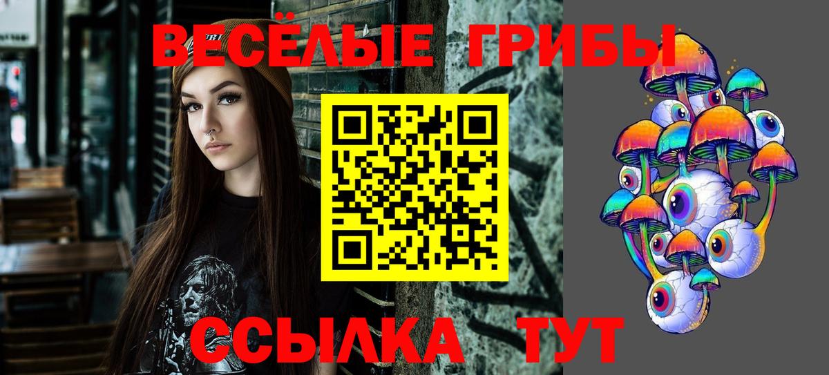 Галлюциногенные грибы Psilocybe  Псилоцибиновые грибы Magic Shrooms  Липецк 