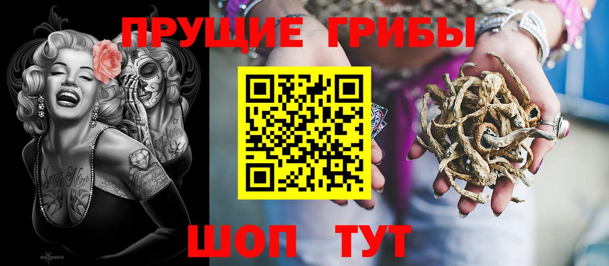 Псилоцибиновые грибы Psilocybine cubensis  Вход с VPN  где купить наркоту  Липецк 